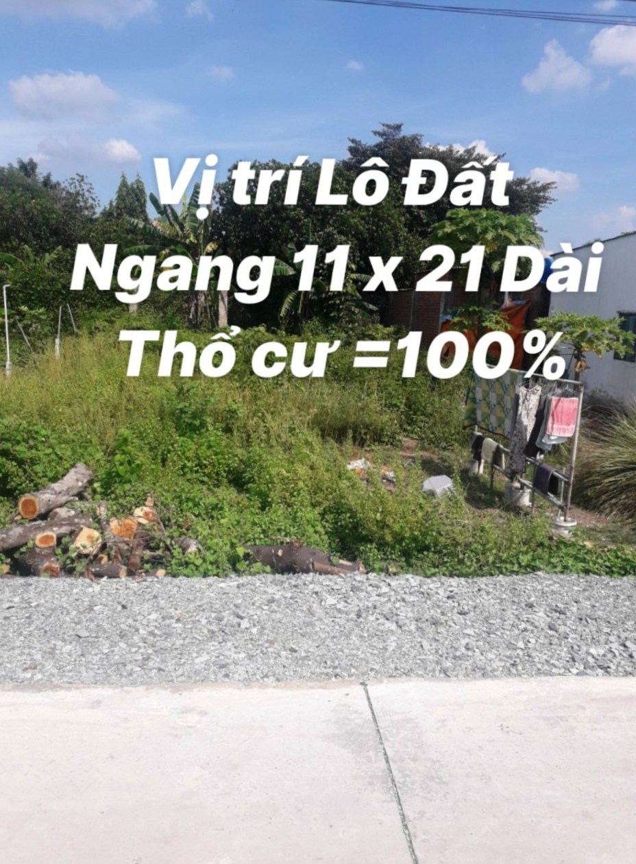 Ảnh nhà đất Đất Tân Phú Trung 11x21m Full Thổ, đường xe tải. Cách Mũi Tàu QL22 và TL2 250m