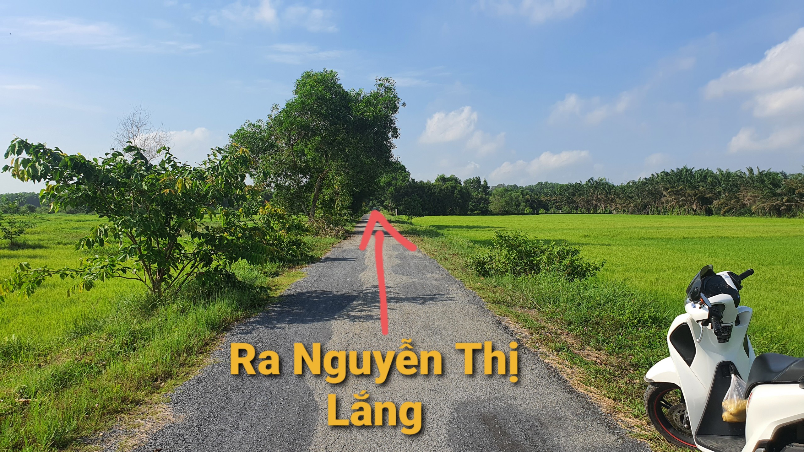 Ảnh nhà đất Đất Củ Chi hơn 1000m2 CLN sát khu dân cư xã Phước Vĩnh An đường nhựa thông nối TL8 và Nguyễn Thị Lắng