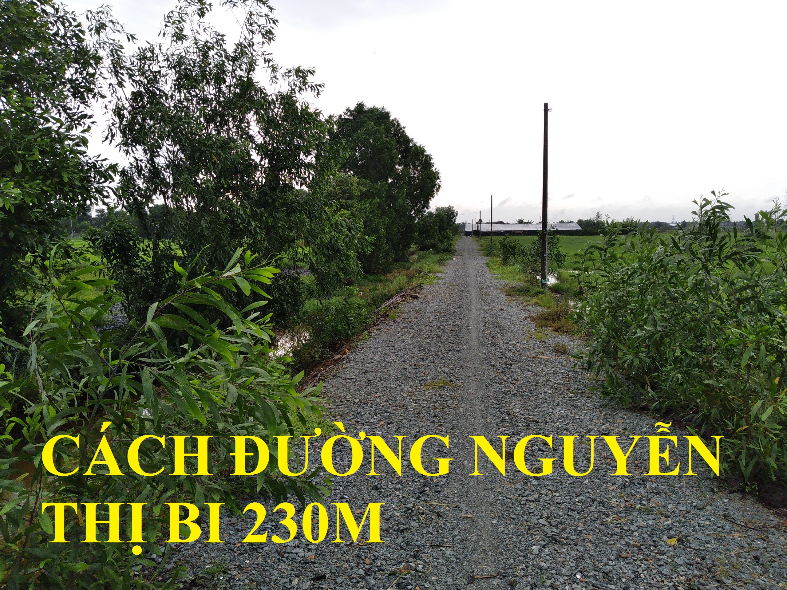 Ảnh nhà đất Đất Vườn Củ Chi gần 1000m2 13x54m đường xe hơi. Xã Tân Phú Trung, gần QL22, BV Xuyên Á