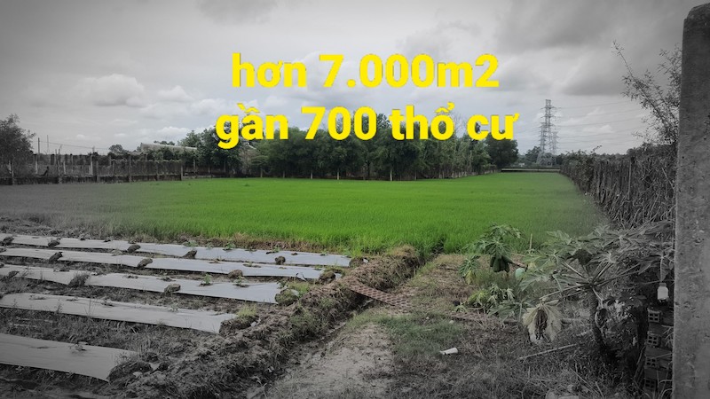 Ảnh nhà đất Chủ ngộp bán gấp đất Củ Chi 2 mặt tiền hơn 7000m2 có sẵn gần 700m2 thổ cư xã Trung Lập Hạ. Chỉ hơn 2tr/m2