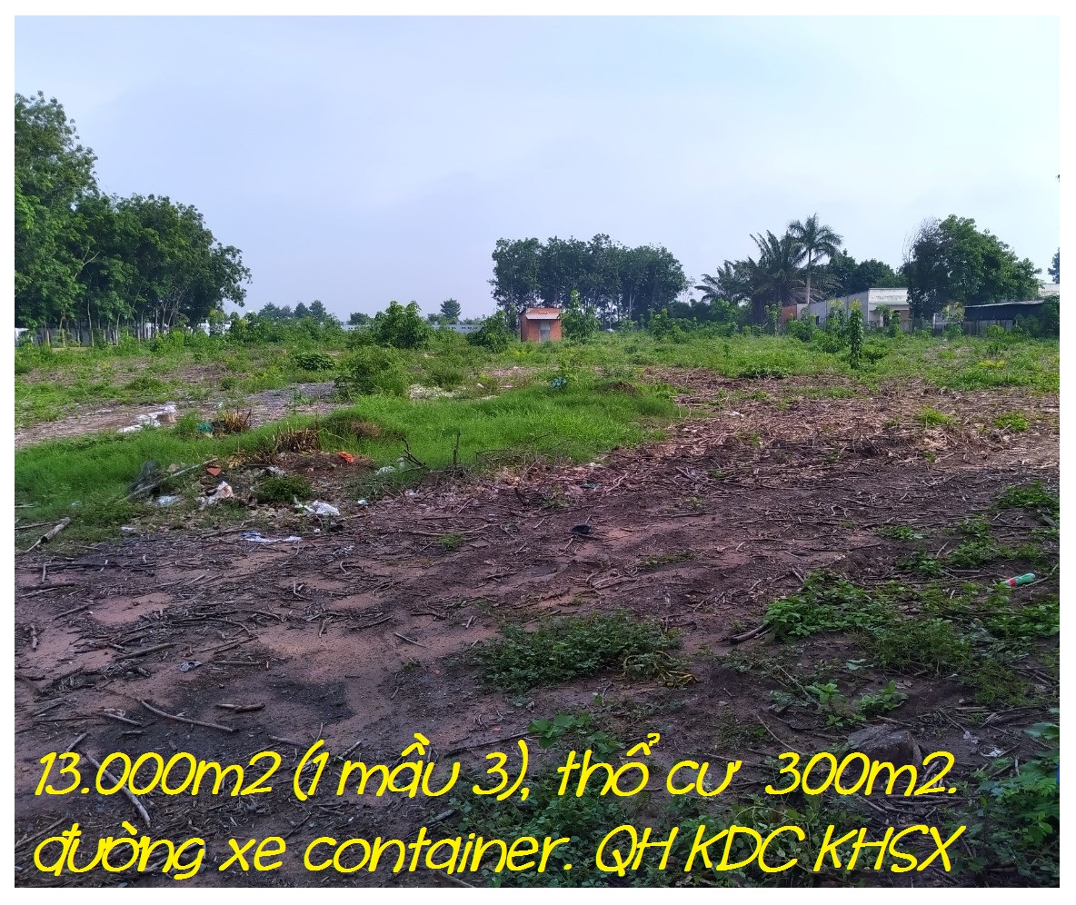 Ảnh nhà đất Đất rộng hơn 13000m2 (1 mẫu 3) thổ cư 300m đường xe container, cách Nguyễn Thị Nê 100m