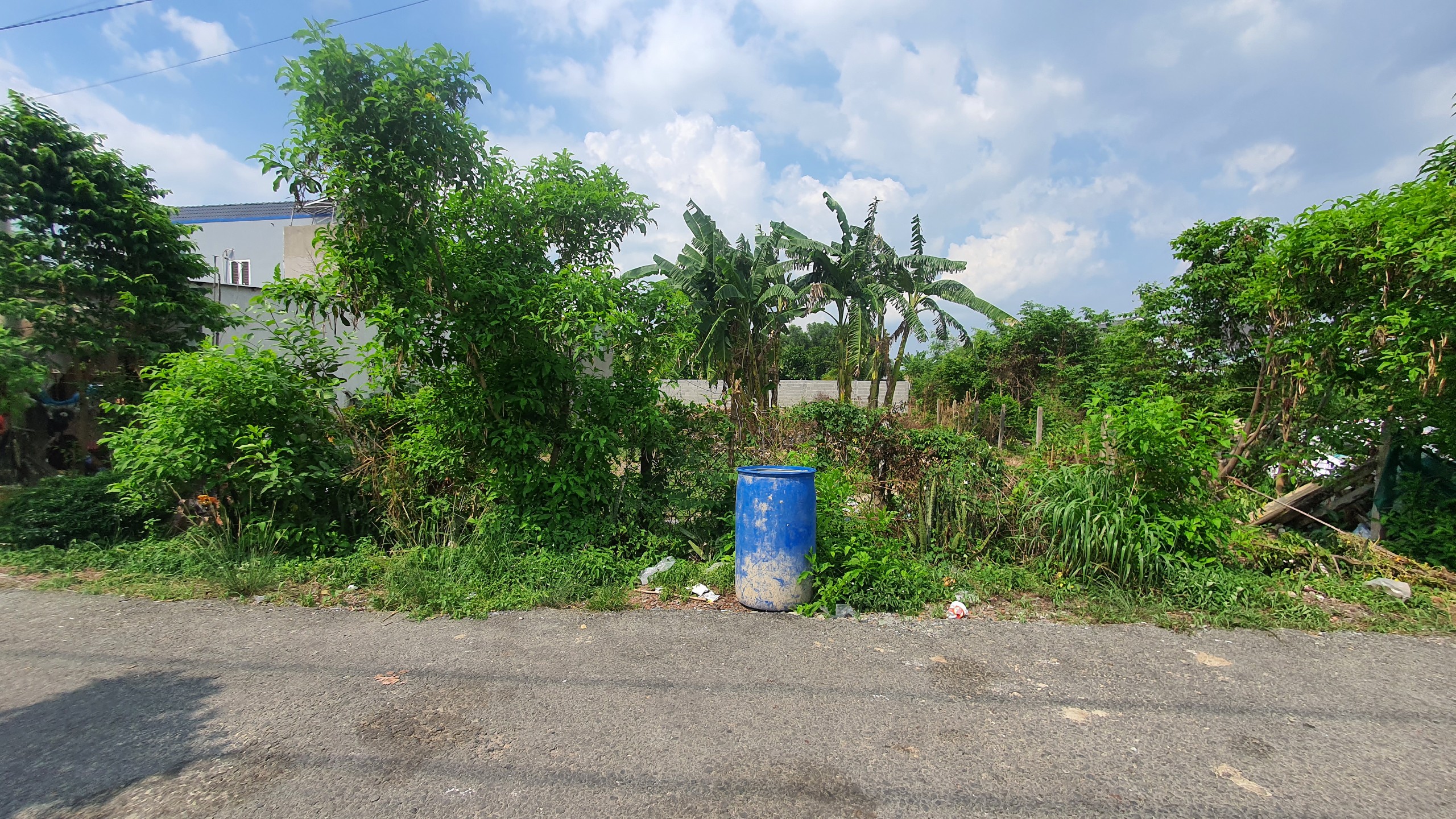 Ảnh nhà đất Đất bán MT nhựa thông huyện Củ Chi 15x30m thổ cư full cách đường nhựa lớn Nguyễn Văn Khạ 50m