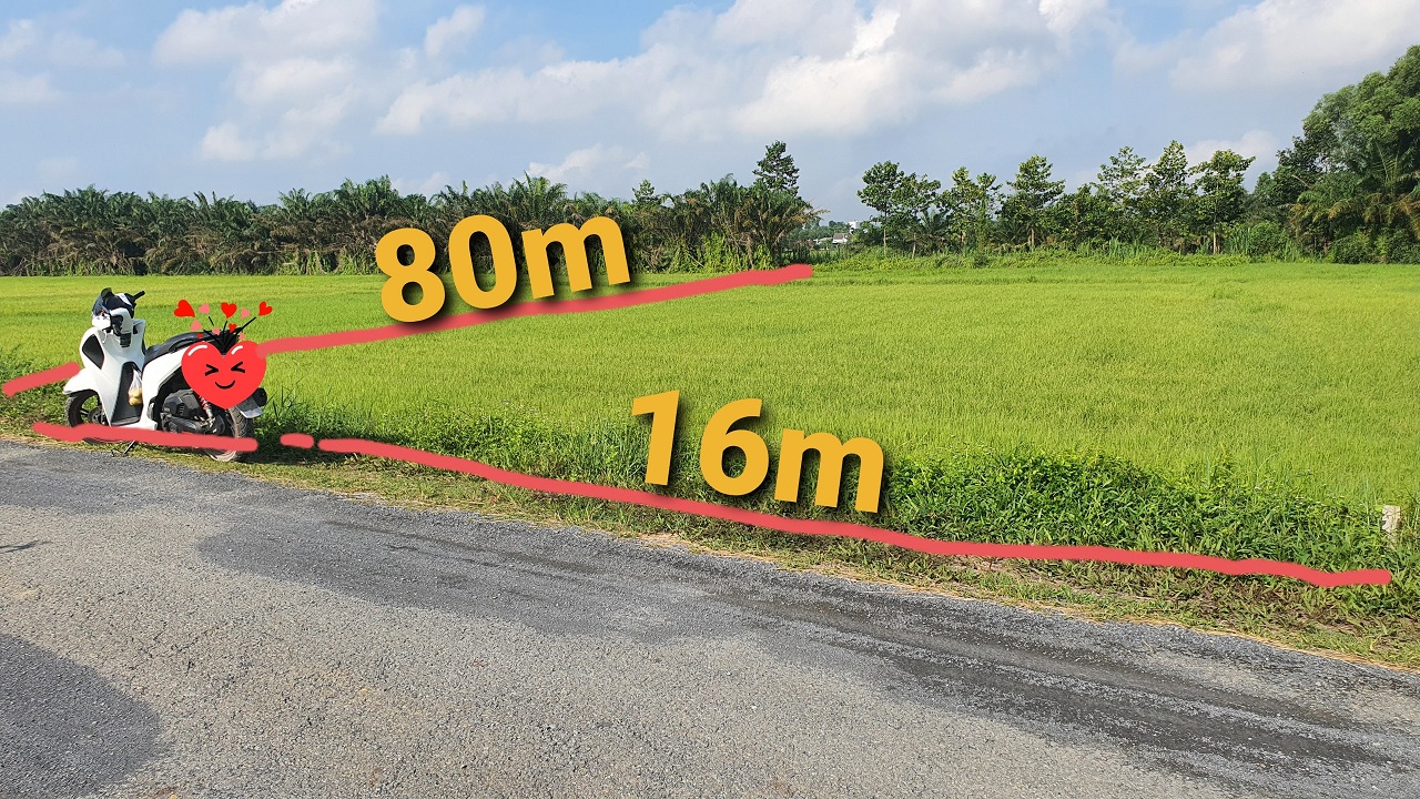Đất Củ Chi hơn 1000m2 CLN sát khu dân cư xã Phước Vĩnh An đường nhựa thông nối TL8 và Nguyễn Thị Lắng